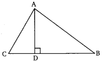 NCERT Solutions For Class 10 Maths Chapter 6 Triangles Ex 6.1 Q20